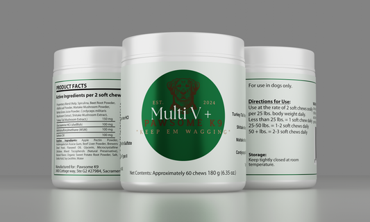 Multivitamin + Functional Mushroom Support For Dogs